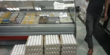 أسعار البيض